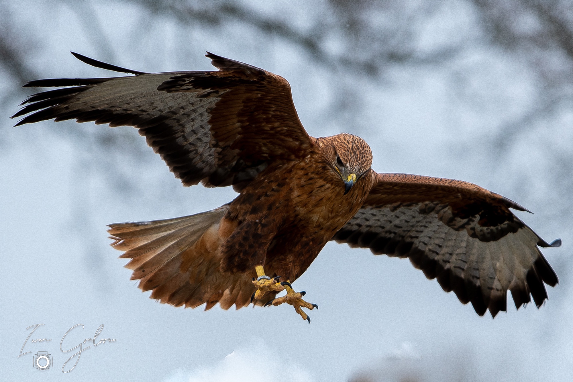 01 april 2022 120318 1DX47296